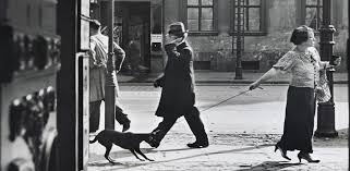 romanvishniac